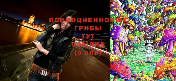 метадон Арсеньев