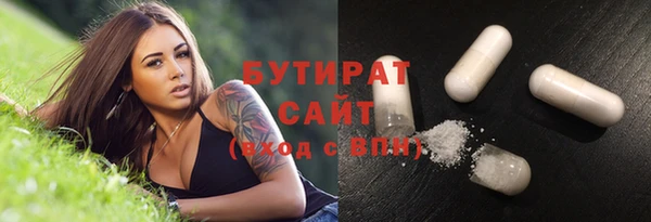индика Балахна