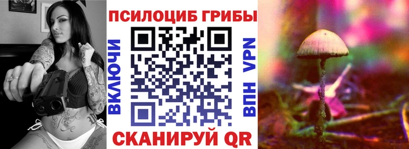 МЕГА маркетплейс Боровск Галлюциногенные грибы Cubensis закладка